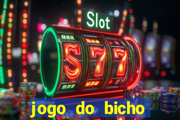 jogo do bicho documentario globoplay